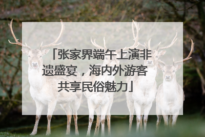 张家界端午上演非遗盛宴，海内外游客共享民俗魅力
