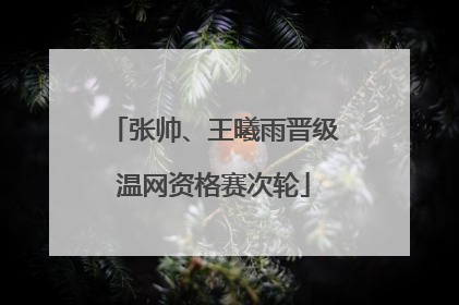 张帅、王曦雨晋级温网资格赛次轮