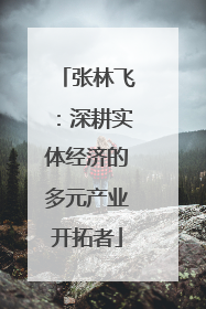 张林飞：深耕实体经济的多元产业开拓者