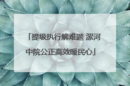 提级执行解难题 漯河中院公正高效暖民心