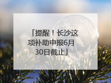 提醒！长沙这项补助申报6月30日截止