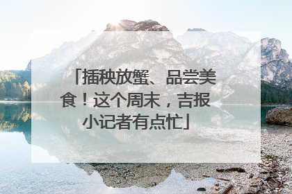 插秧放蟹、品尝美食！这个周末，吉报小记者有点忙