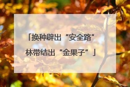 换种辟出“安全路” 林带结出“金果子”