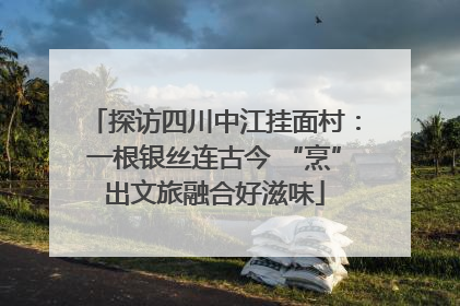 探访四川中江挂面村：一根银丝连古今 “烹”出文旅融合好滋味