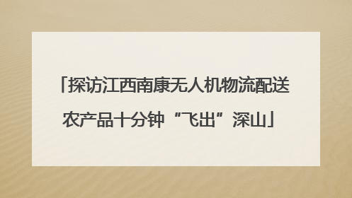 探访江西南康无人机物流配送 农产品十分钟“飞出”深山