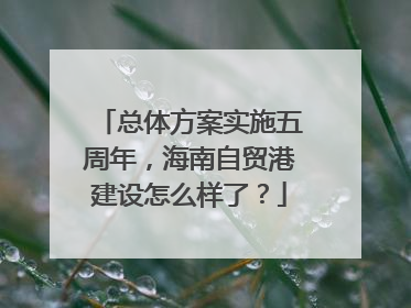 总体方案实施五周年，海南自贸港建设怎么样了？