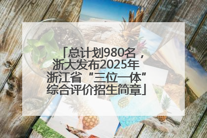 总计划980名，浙大发布2025年浙江省“三位一体”综合评价招生简章