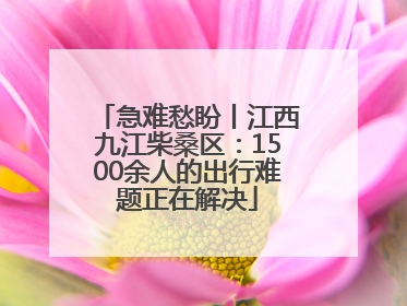 急难愁盼丨江西九江柴桑区：1500余人的出行难题正在解决