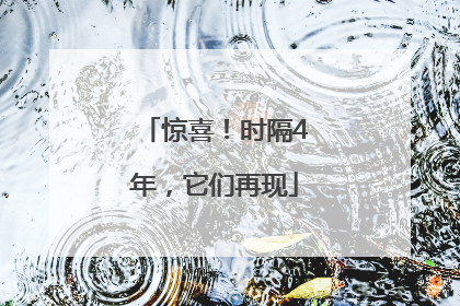 惊喜！时隔4年，它们再现