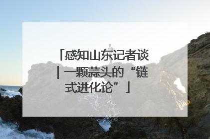 感知山东记者谈｜一颗蒜头的“链式进化论”