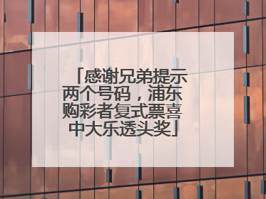 感谢兄弟提示两个号码，浦东购彩者复式票喜中大乐透头奖