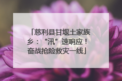慈利县甘堰土家族乡：“汛”速响应！奋战抢险救灾一线