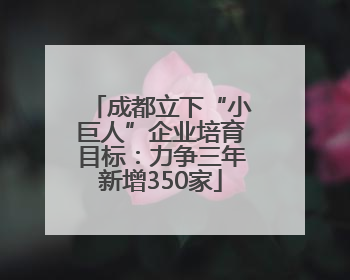 成都立下“小巨人”企业培育目标：力争三年新增350家
