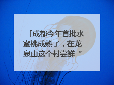成都今年首批水蜜桃成熟了，在龙泉山这个村尝鲜“第一口”｜寻找和美乡村推荐官