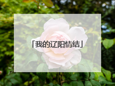 我的辽阳情结