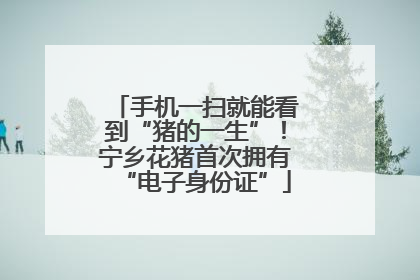 手机一扫就能看到“猪的一生”！宁乡花猪首次拥有“电子身份证”