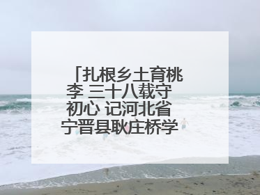 扎根乡土育桃李 三十八载守初心 记河北省宁晋县耿庄桥学区教师张志涛