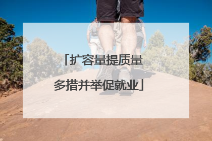 扩容量提质量 多措并举促就业