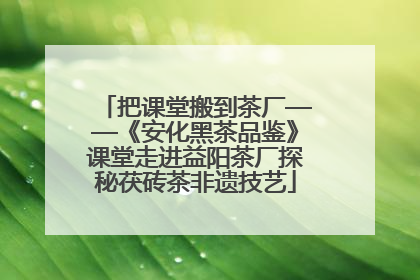 把课堂搬到茶厂——《安化黑茶品鉴》课堂走进益阳茶厂探秘茯砖茶非遗技艺