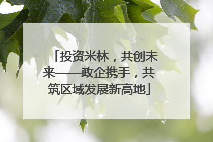 投资米林，共创未来——政企携手，共筑区域发展新高地