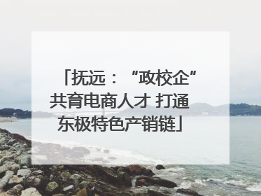 抚远：“政校企”共育电商人才 打通东极特色产销链