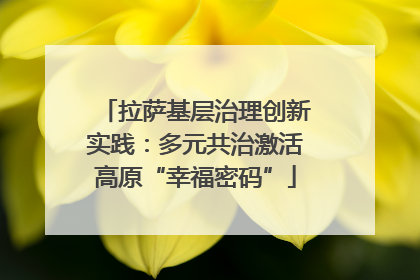 拉萨基层治理创新实践：多元共治激活高原“幸福密码”