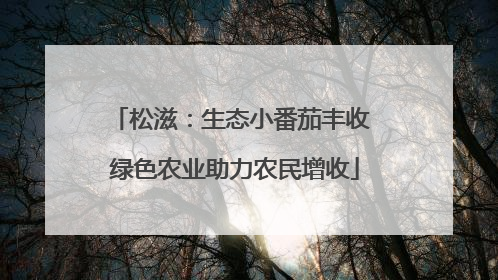 松滋：生态小番茄丰收 绿色农业助力农民增收