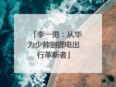 李一男：从华为少帅到锂电出行革新者