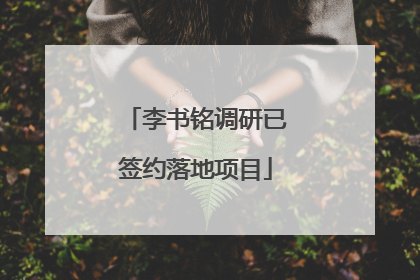 李书铭调研已签约落地项目