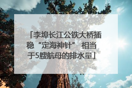 李埠长江公铁大桥插稳“定海神针” 相当于5艘航母的排水量