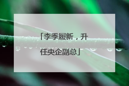 李季履新，升任央企副总