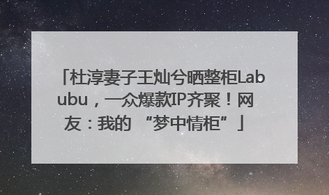 杜淳妻子王灿兮晒整柜Labubu，一众爆款IP齐聚！网友：我的 “梦中情柜”