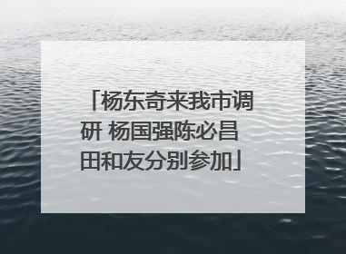杨东奇来我市调研 杨国强陈必昌田和友分别参加