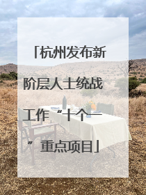 杭州发布新阶层人士统战工作“十个一”重点项目