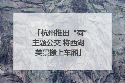 杭州推出“荷”主题公交 将西湖美景搬上车厢