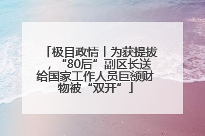 极目政情丨为获提拔，“80后”副区长送给国家工作人员巨额财物被“双开”
