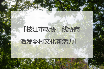 枝江市政协一线协商激发乡村文化新活力