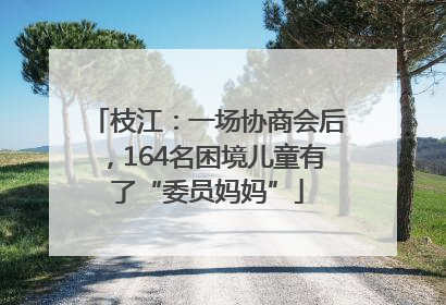 枝江：一场协商会后，164名困境儿童有了“委员妈妈”