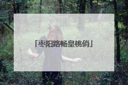 枣阳路畅皇桃俏