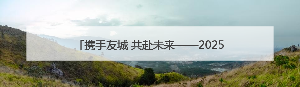 携手友城 共赴未来——2025黄河口国际友城合作交流会侧记