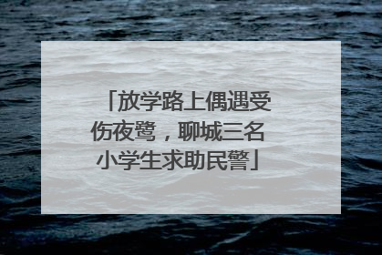 放学路上偶遇受伤夜鹭，聊城三名小学生求助民警