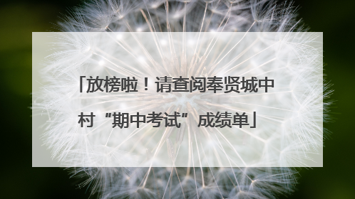 放榜啦！请查阅奉贤城中村“期中考试”成绩单