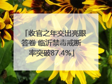 收官之年交出亮眼答卷 临沂禁毒戒断率突破87.4%