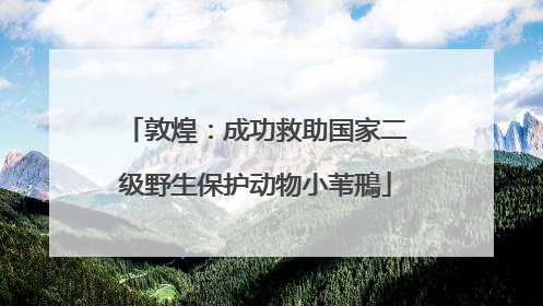 敦煌：成功救助国家二级野生保护动物小苇鳽