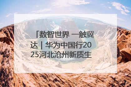 数智世界 一触冀达｜华为中国行2025河北沧州新质生产力峰会成功举办
