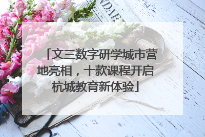 文三数字研学城市营地亮相，十款课程开启杭城教育新体验