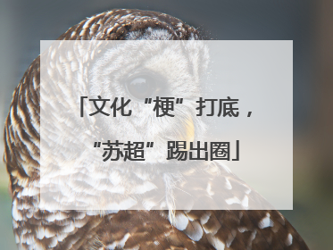 文化“梗”打底，“苏超”踢出圈