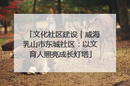 文化社区建设｜威海乳山市东城社区：以文育人照亮成长灯塔