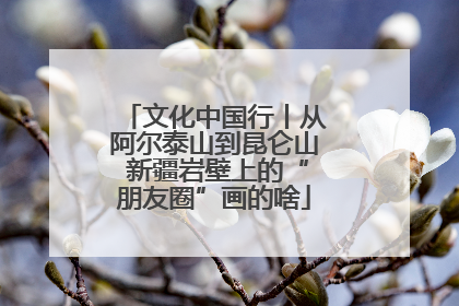 文化中国行丨从阿尔泰山到昆仑山 新疆岩壁上的“朋友圈”画的啥