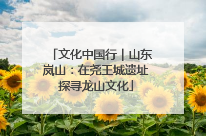 文化中国行｜山东岚山：在尧王城遗址探寻龙山文化